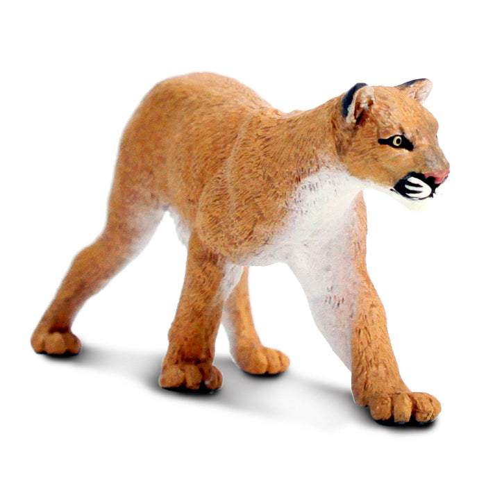 Safari Ltd Mountain Lion