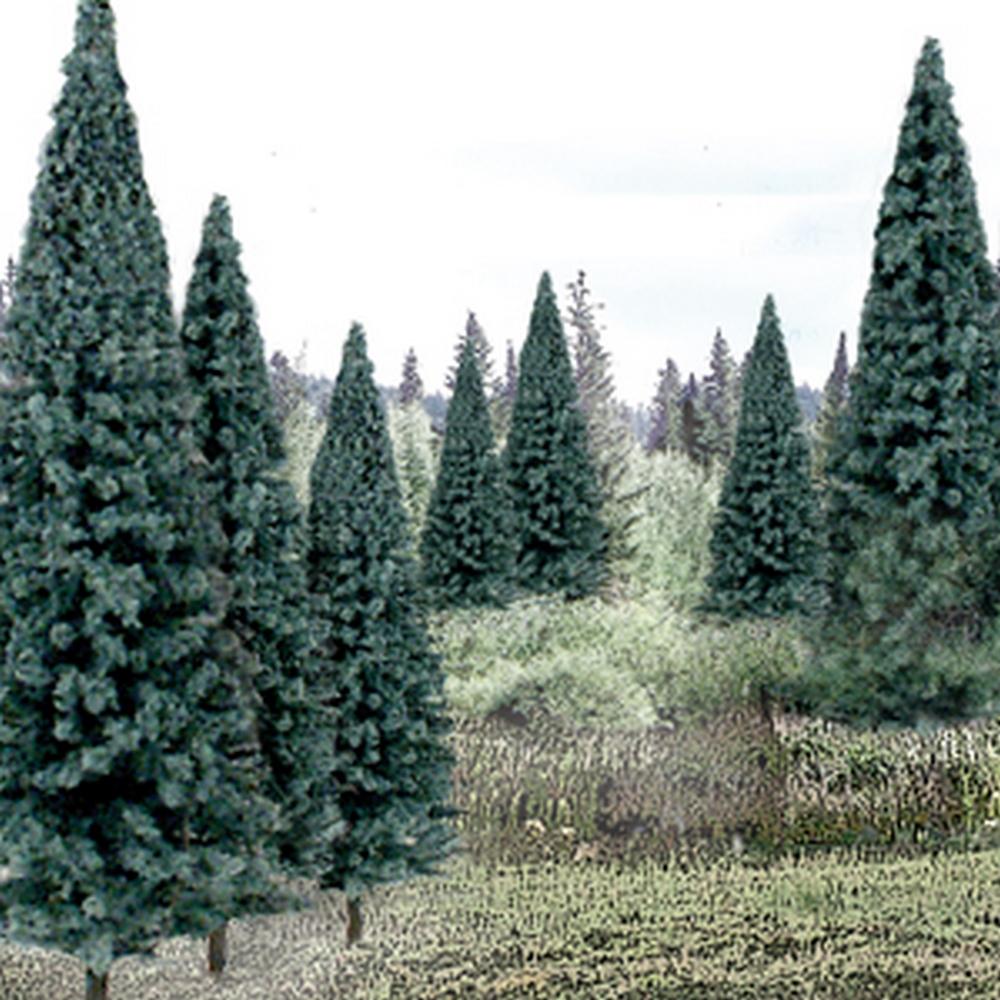 Woodland Scenics 4In- 6In Rm Real Blue Spruce 13/Pk