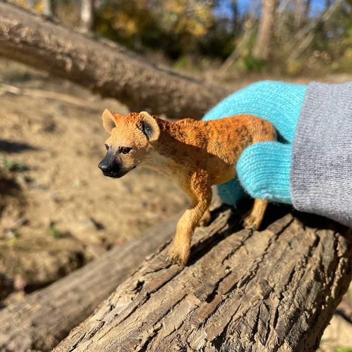 Safari Ltd Spotted Hyena