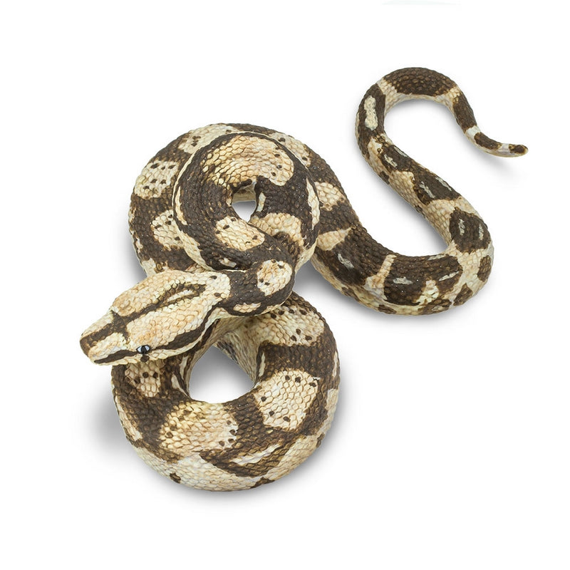 Safari Ltd Boa Constrictor