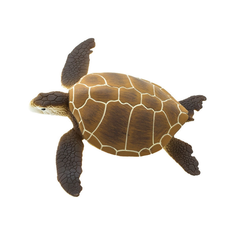 Safari Ltd Green Sea Turtle