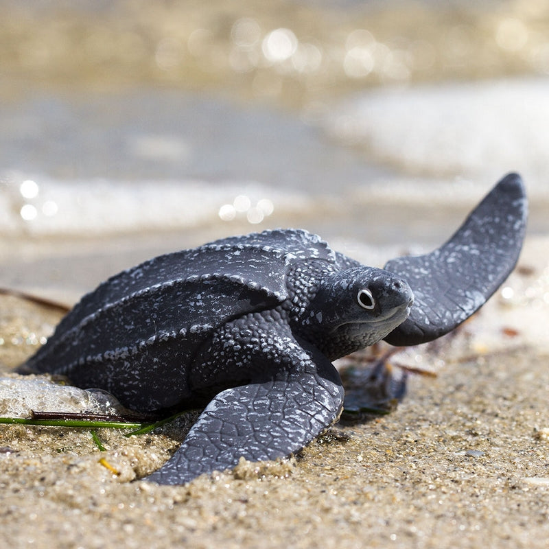 Safari Ltd Leatherback Sea Turtle