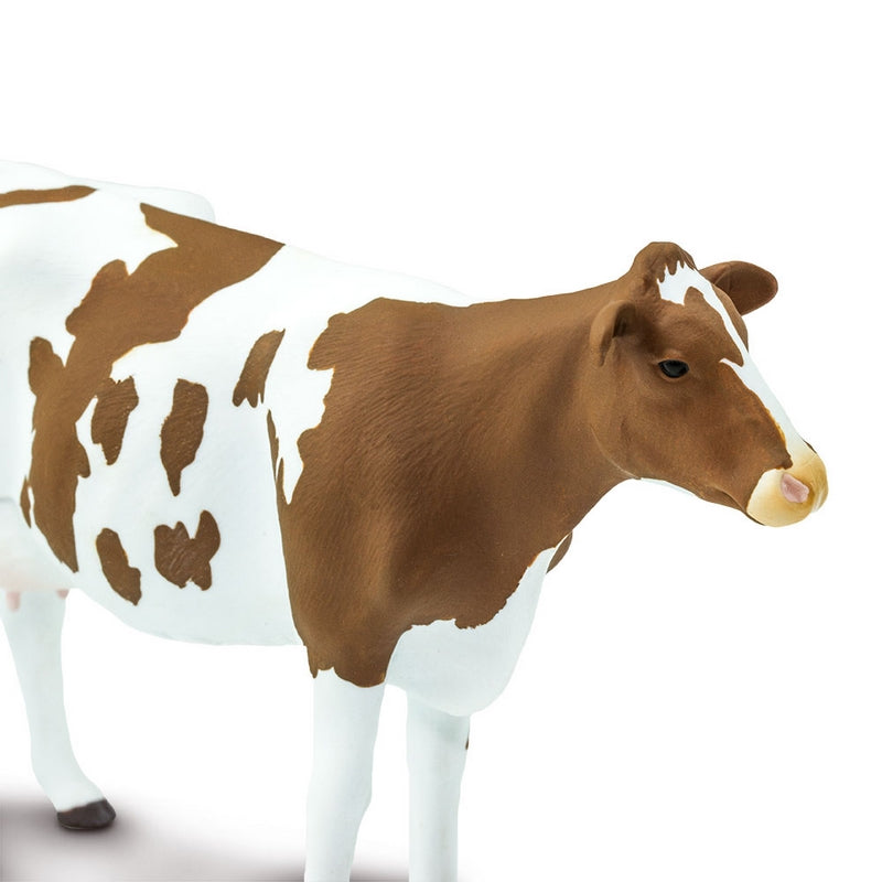 Safari Ltd Ayrshire Cow