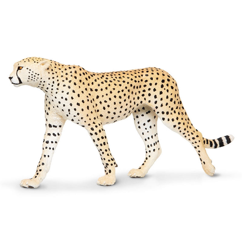 Safari Ltd Cheetah