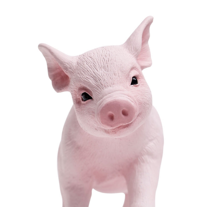 Safari Ltd Piglet