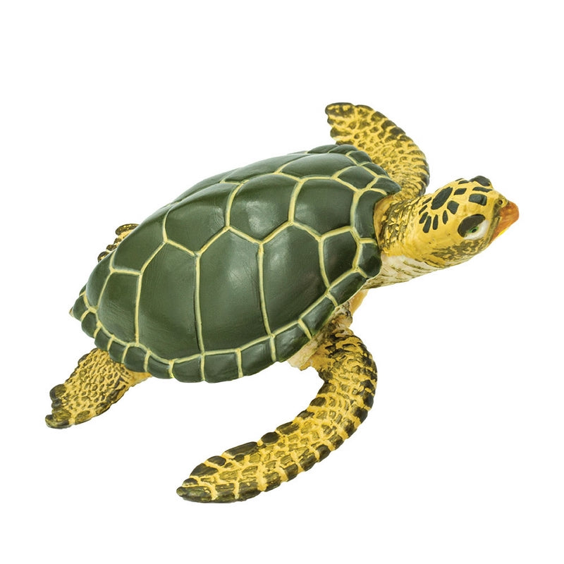 Safari Ltd Green Sea TurtleSea Life