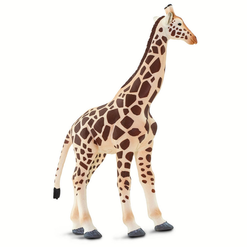 Safari Ltd Giraffe