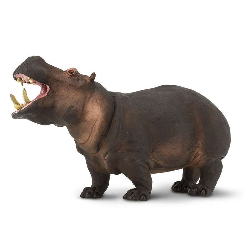 Safari Ltd Hippopotamus