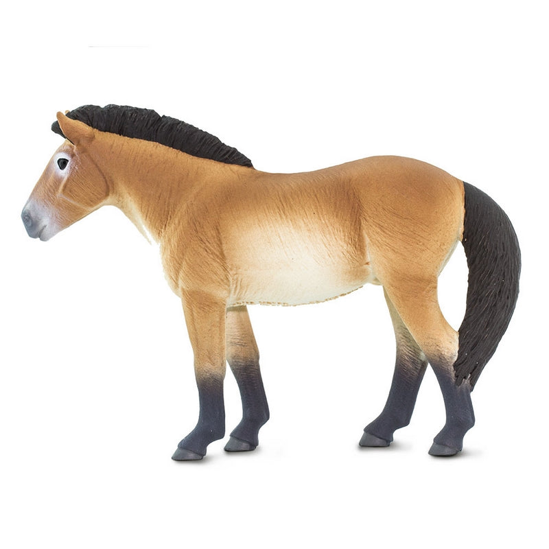 Safari Ltd Przewalskis Horse