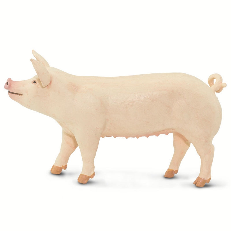 Safari Ltd Large White Pig