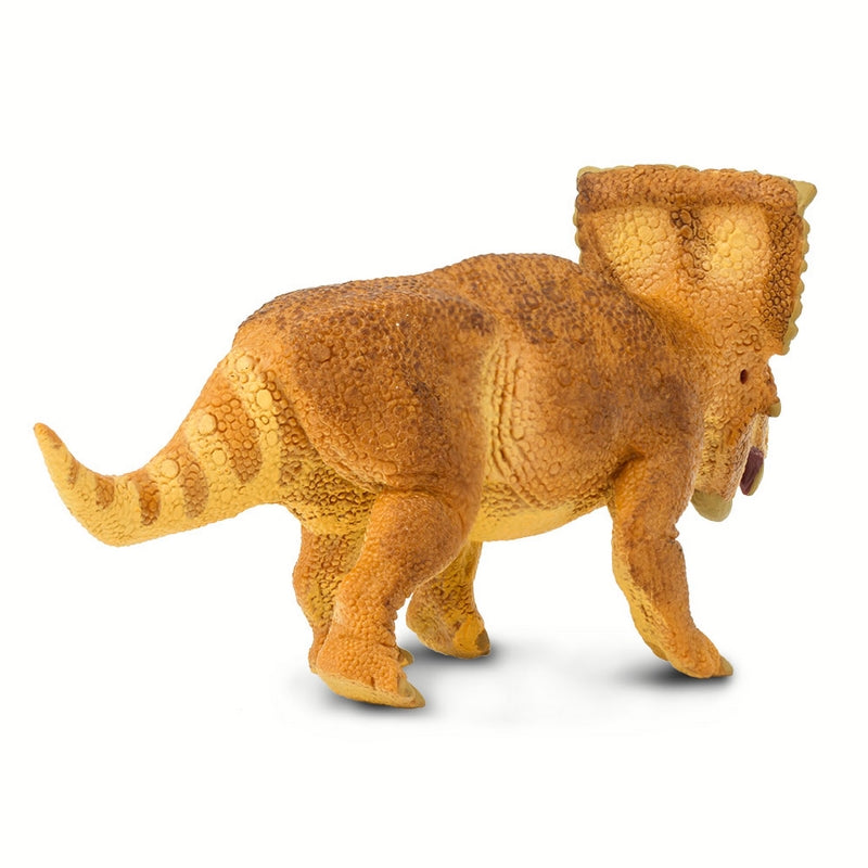 Safari Ltd Vagaceratops