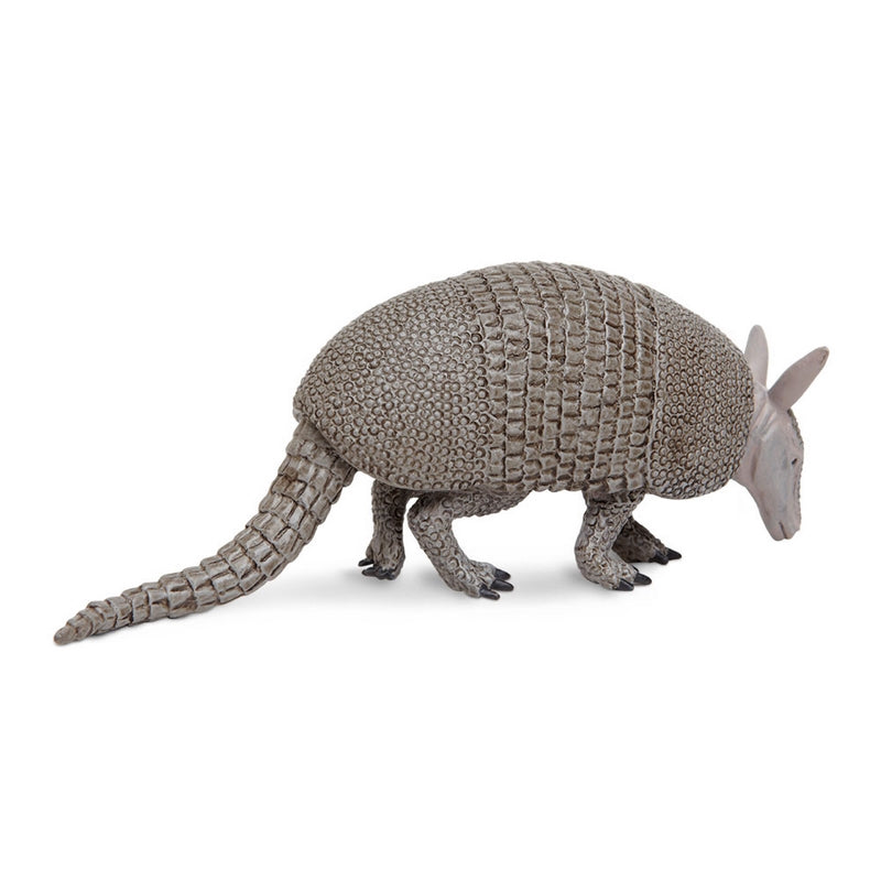 Safari Ltd Armadillo