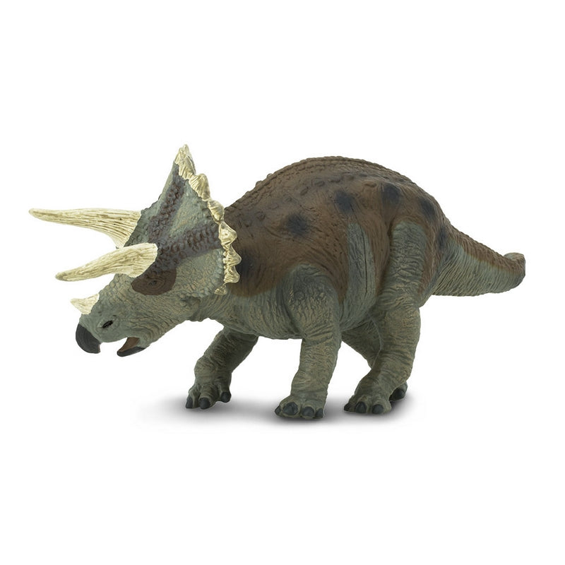 Safari Ltd Triceratops