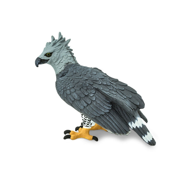 Safari Ltd Harpy Eagle