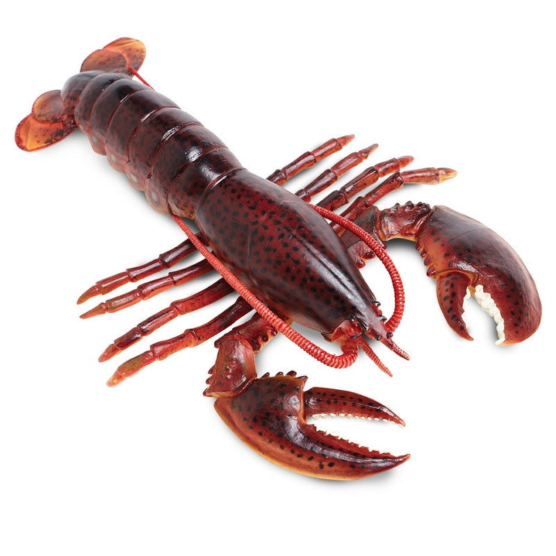 Safari Ltd Maine Lobster