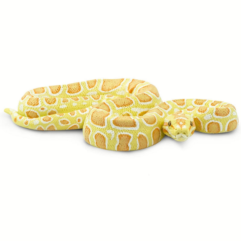 Safari Ltd Albino Burmese Python