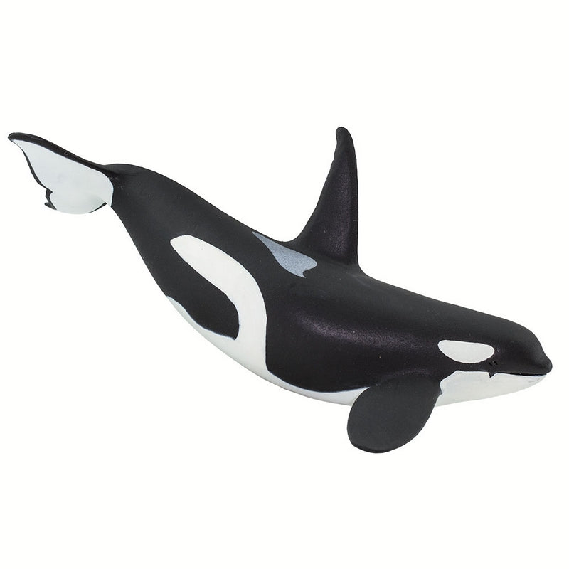 Safari Ltd Orca