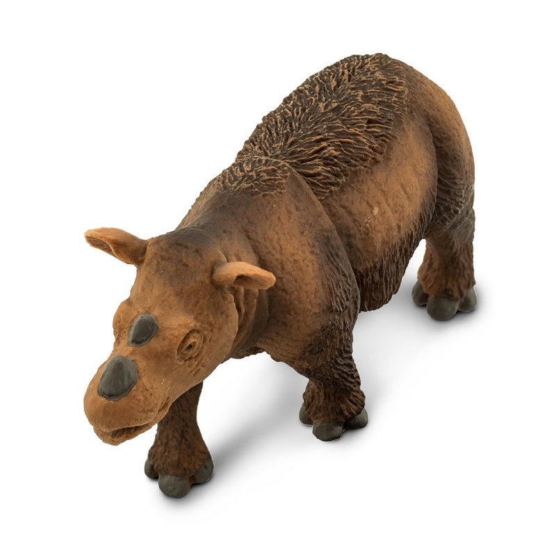 Safari Ltd Sumatran Rhino