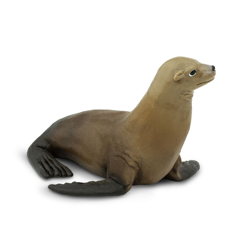 Safari Ltd Sea Lion