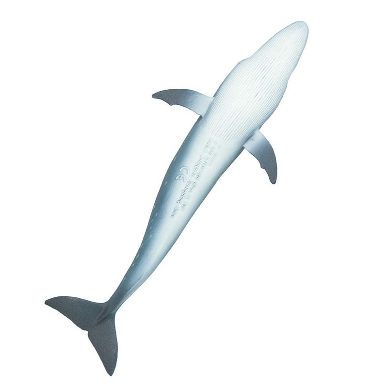 Safari Ltd Sei Whale