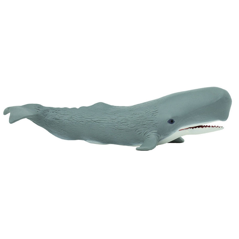 Safari Ltd Sperm Whale Wild