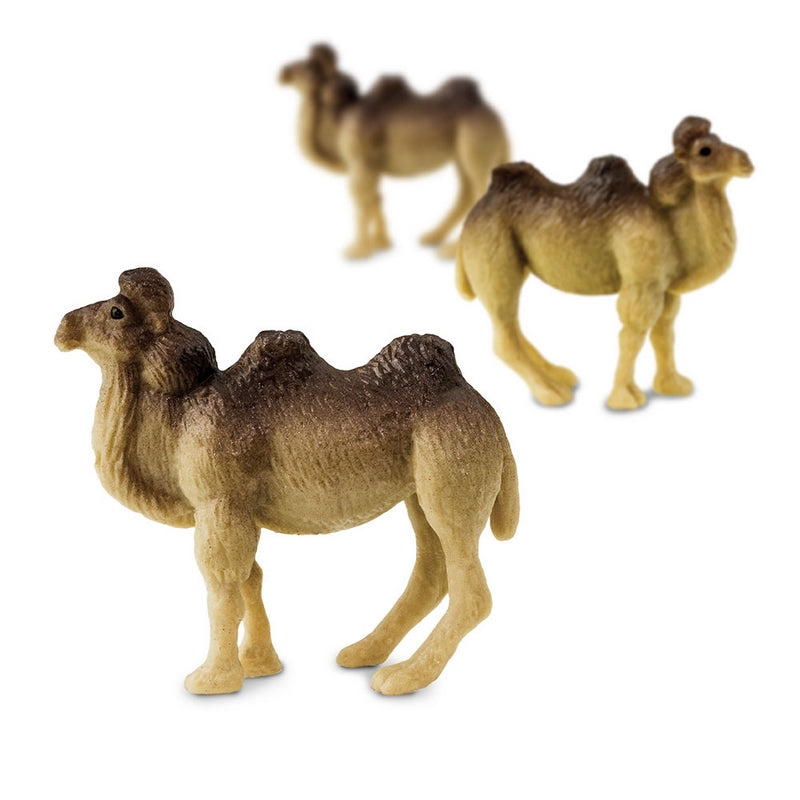 Safari Ltd Camels Good Luck Minis *