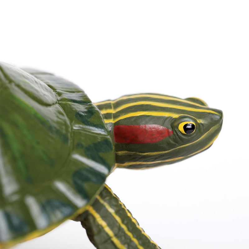 Safari Ltd Red-Eared Slider Turtle