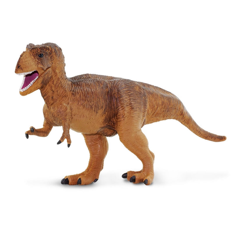 Safari Ltd Tyrannosaurus Rex