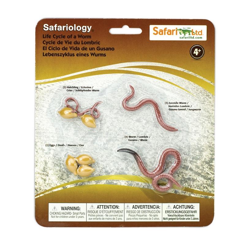 Safari Ltd Life Cycle Of A Worm