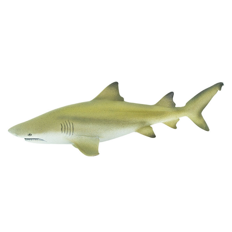 Safari Ltd Lemon Shark