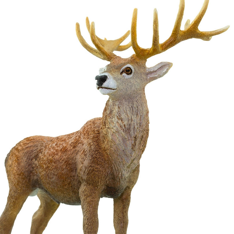 Safari Ltd Red Deer Stag