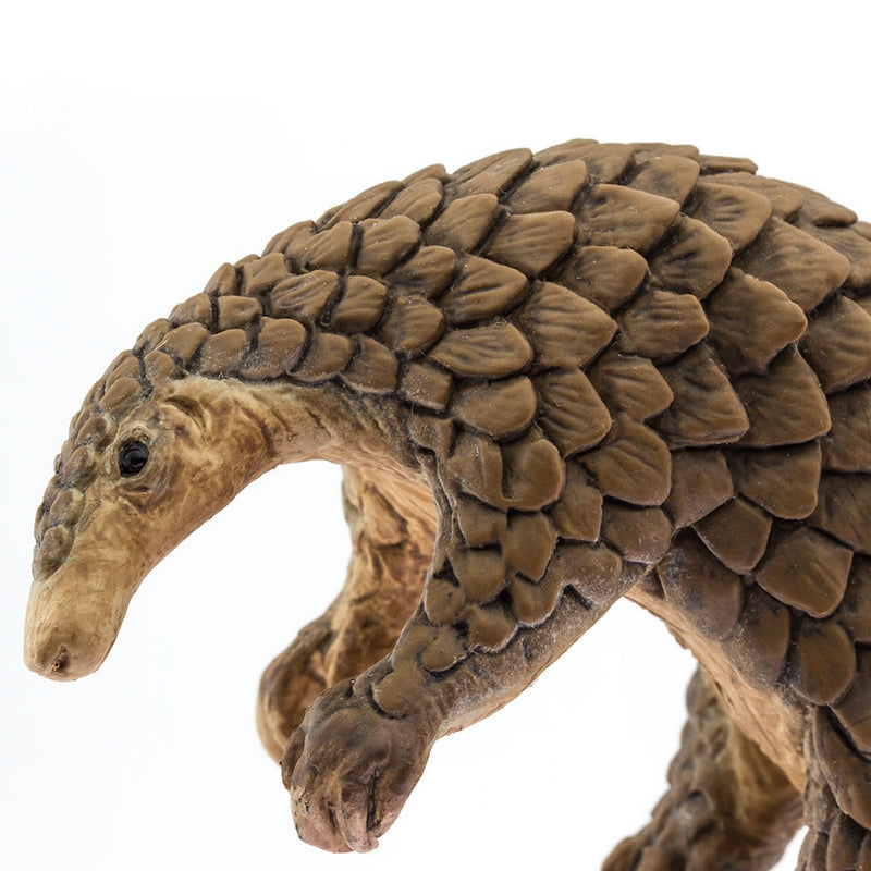 Safari Ltd Pangolin