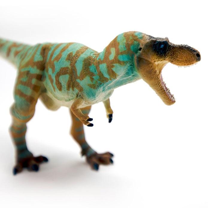 Safari Ltd Albertosaurus