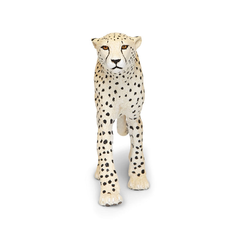 Safari Ltd Cheetah