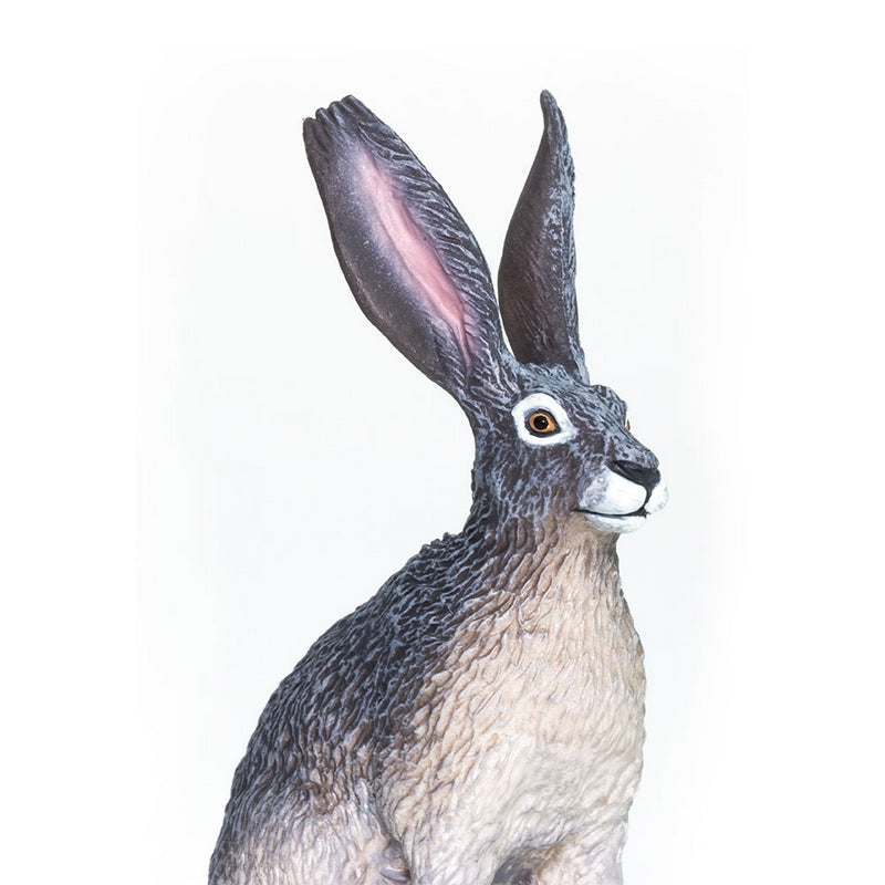 Safari Ltd American Desert Hare