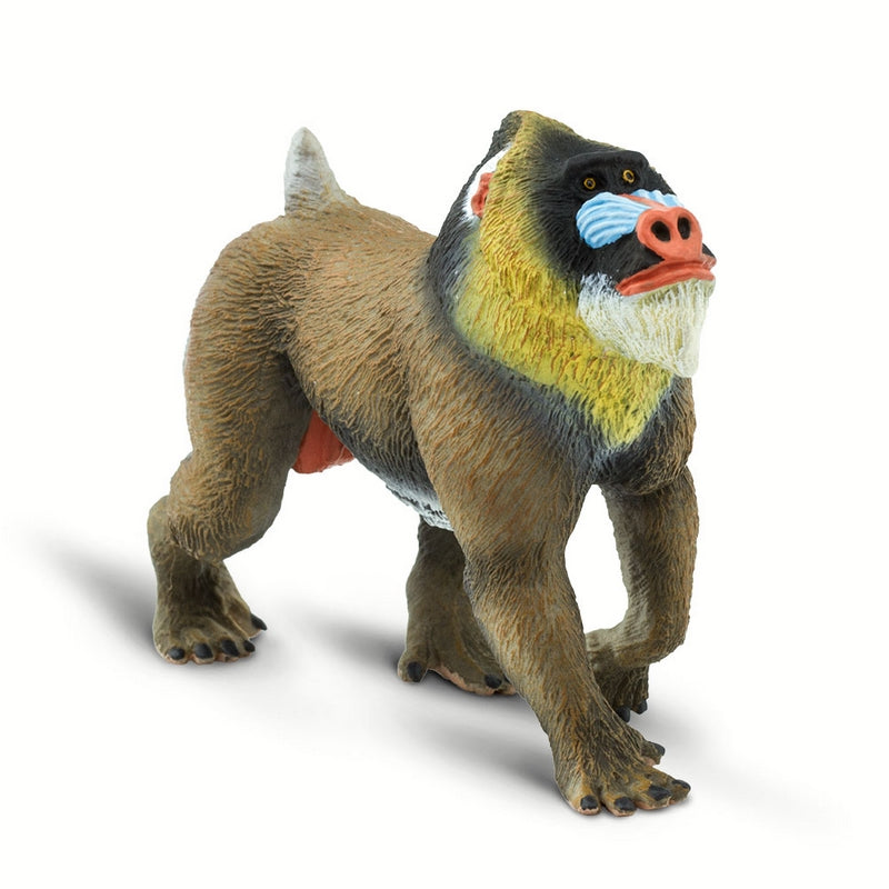 Safari Ltd Mandrill