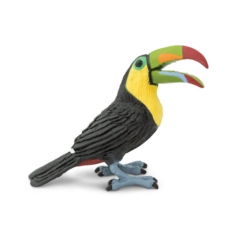 Safari Ltd Toucan