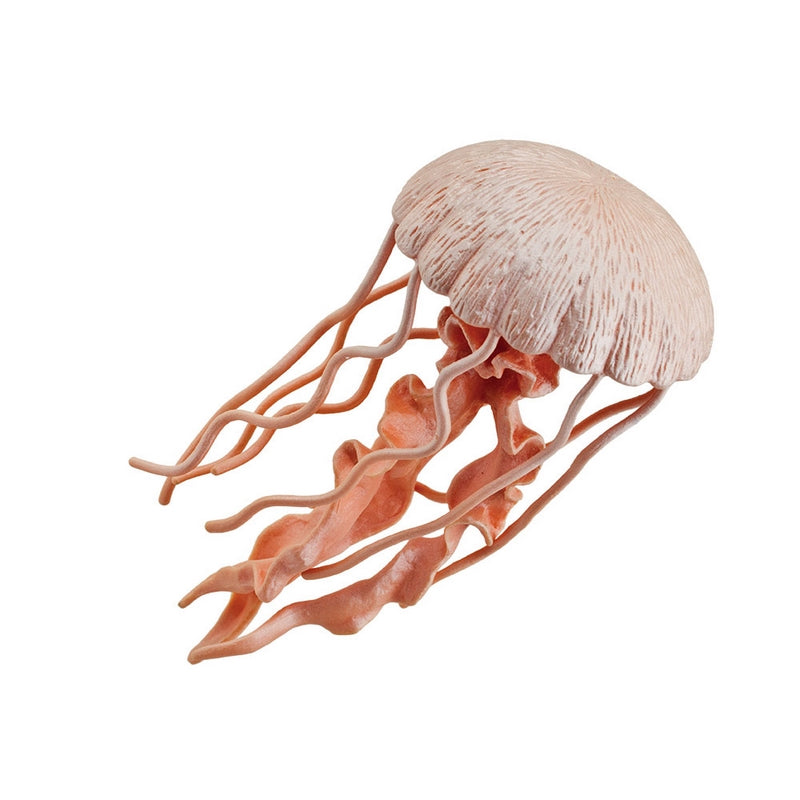 Safari Ltd Jellyfish