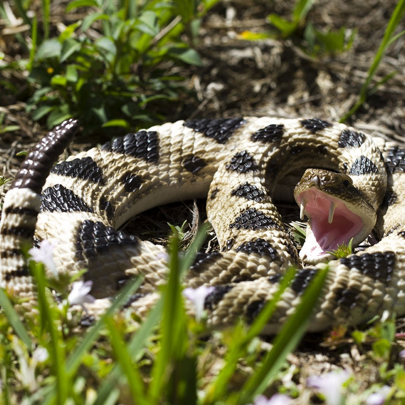 Safari Ltd Eastern Diamondback Rattlesnake