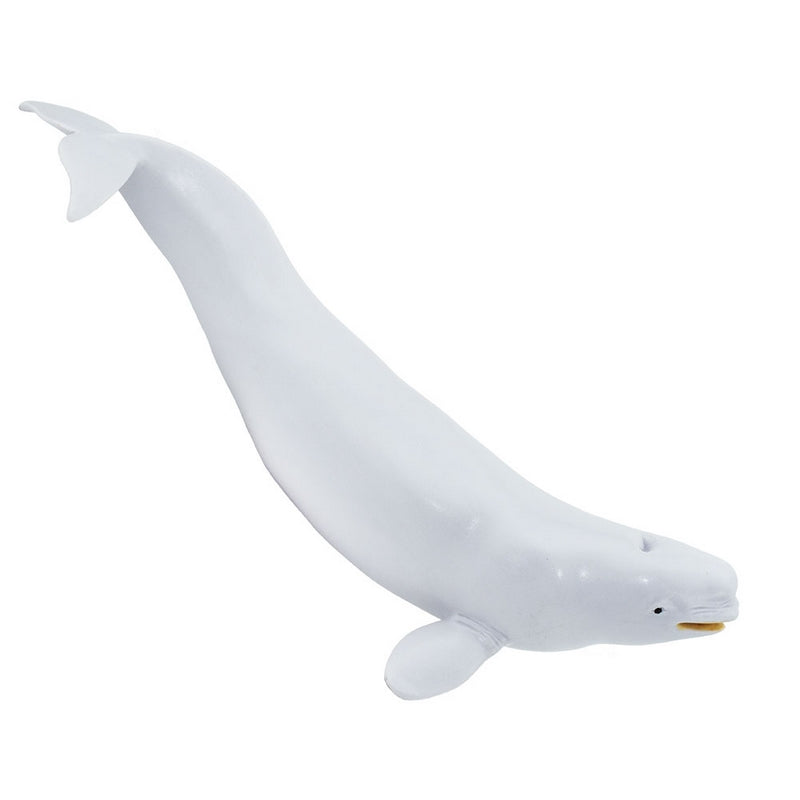 Safari Ltd Beluga Whale