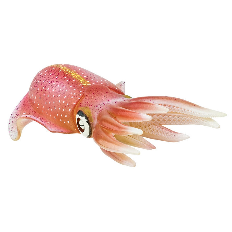 Safari Ltd Reef Squid