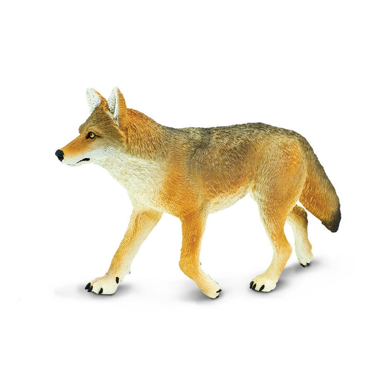 Safari Ltd Coyote