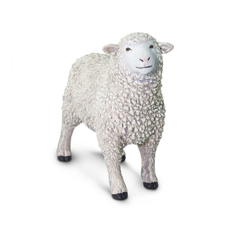 Safari Ltd Sheep