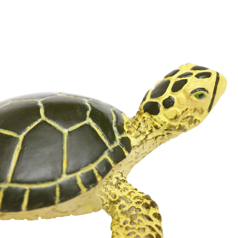 Safari Ltd Green Sea Turtle Baby