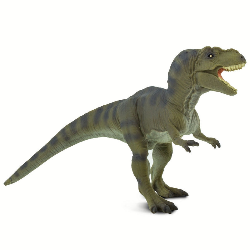 Safari Ltd Tyrannosaurus Rex