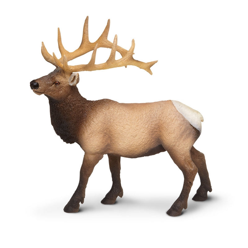 Safari Ltd Elk Bull