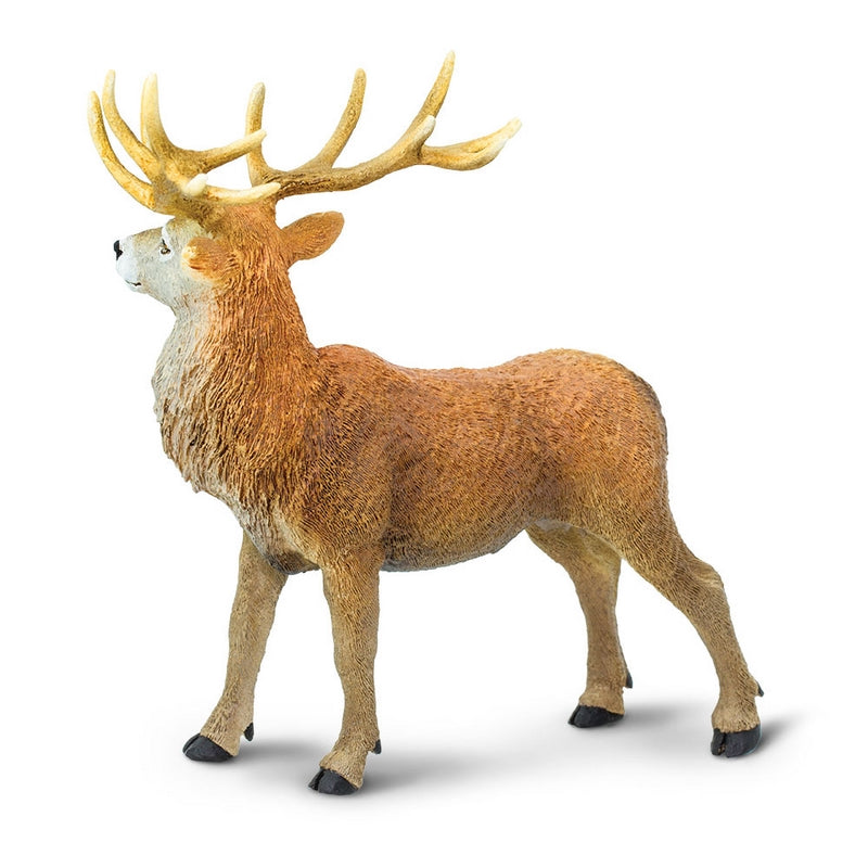 Safari Ltd Red Deer Stag