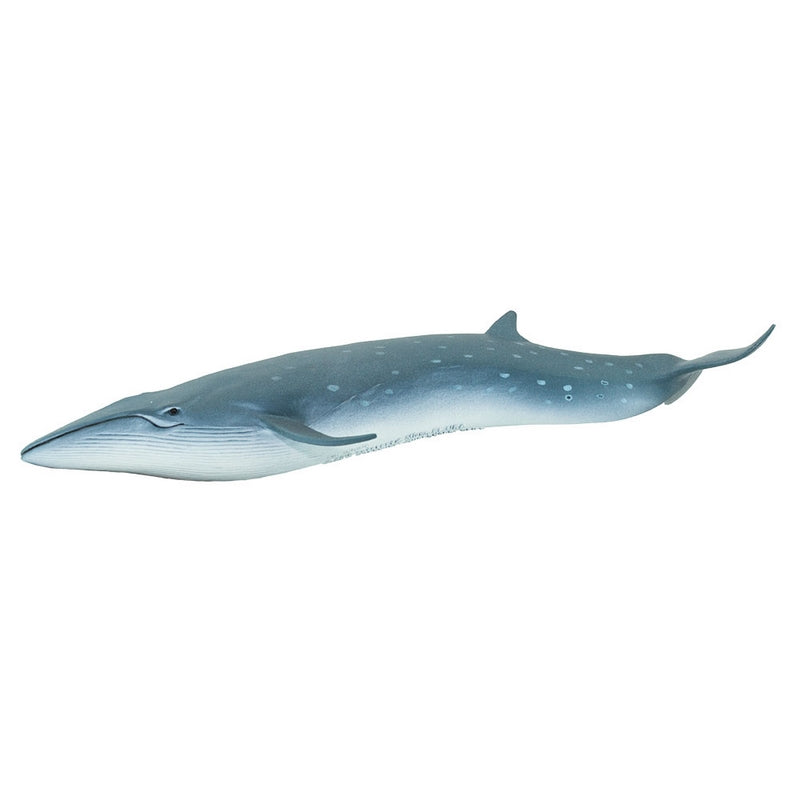 Safari Ltd Sei Whale