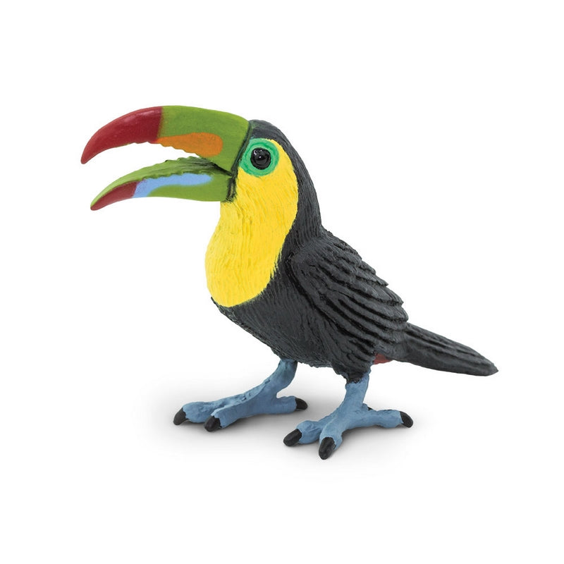 Safari Ltd Toucan