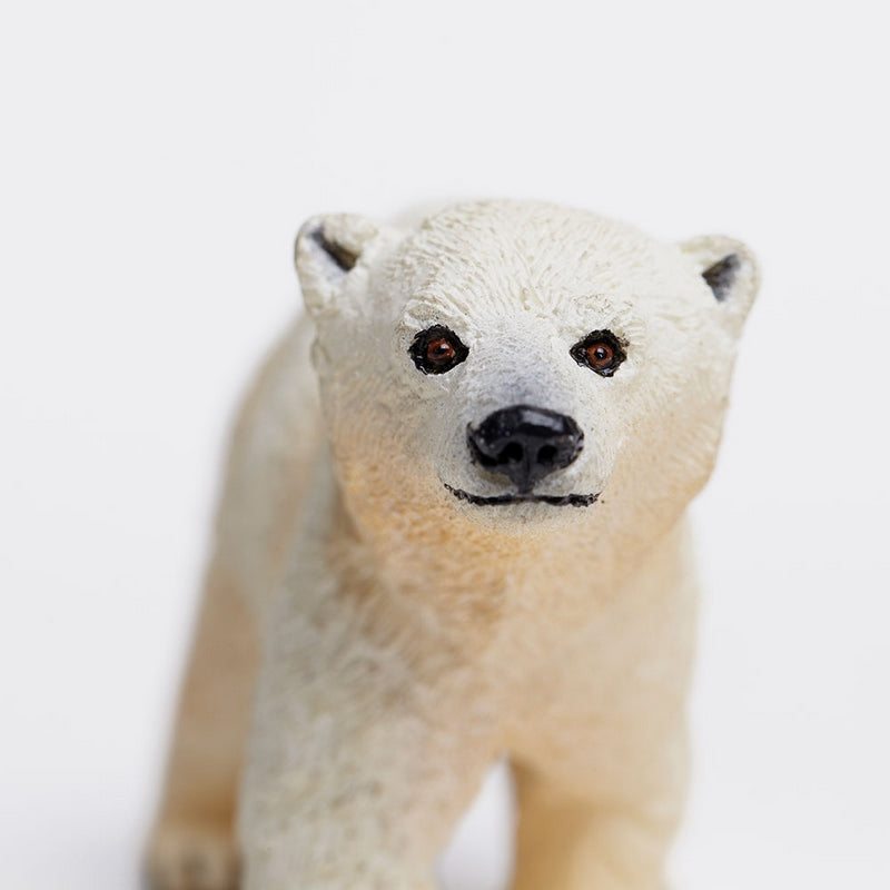 Safari Ltd Polar Bear Cub